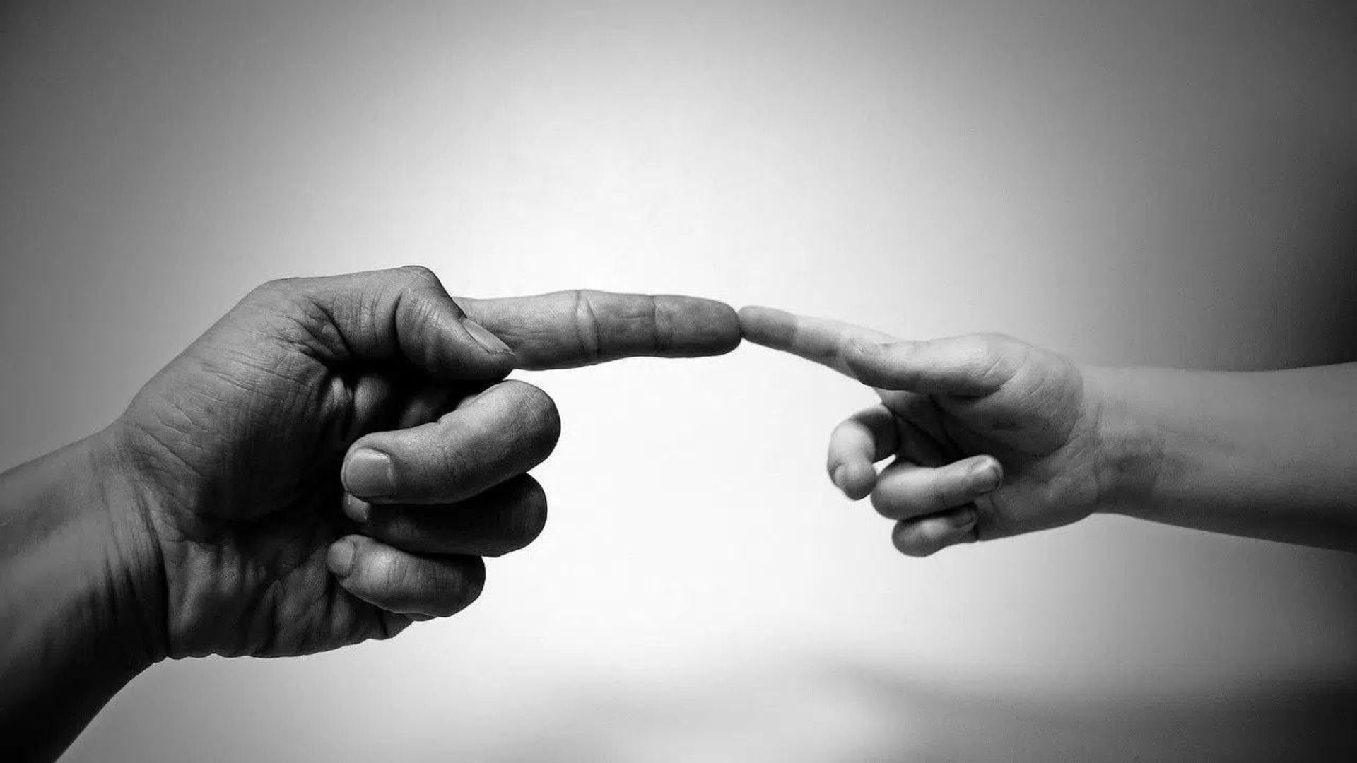 La acción de división de la cosa común